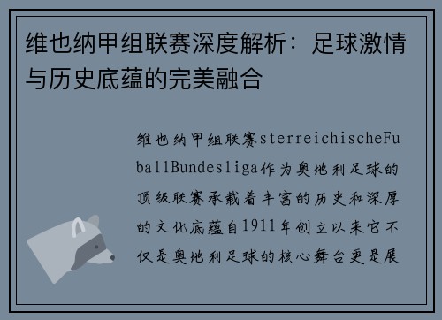 维也纳甲组联赛深度解析：足球激情与历史底蕴的完美融合