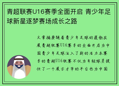 青超联赛U16赛季全面开启 青少年足球新星逐梦赛场成长之路